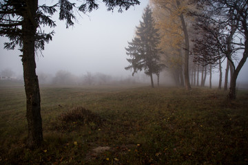 Morning fog on the road through the autumn forest at sunrise