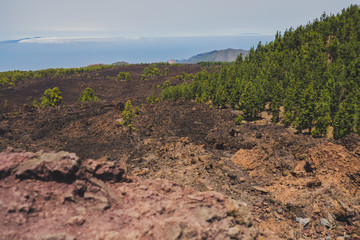 Fototapeta na wymiar Pico de Teide