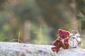 Teddy Bear Doll and Retro Alarm Clock with tone
