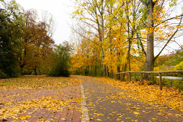 Schöner Park im herbst mit Herbstblättern