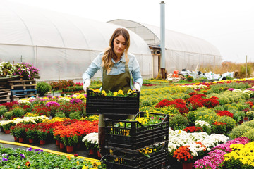 Gardener in greenhouse