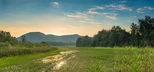 Fototapeta na wymiar Sunset Over a Corn Field Powell County, KY