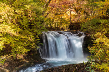 Fototapeta na wymiar 紅葉の忍野村鐘山の滝