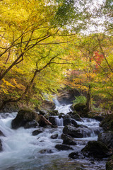 紅葉の忍野村鐘山の滝