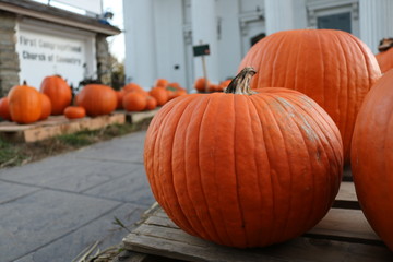 Pumpkin patch in historic New England