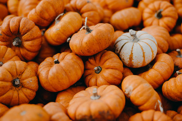 Pumpkins