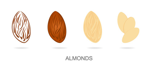 Almonds set vector. Almond walnut peeled and sliced illustration.