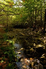 very nice view of cento laghi park near parma