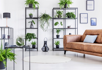Spacious white living room with urban jungle on black metal shelf and whit big brown leather couch