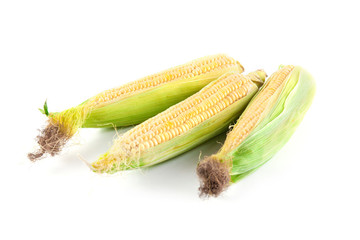 Ripe corn isolated on white background