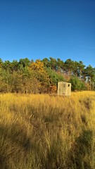 Obraz premium Herbst Jagd