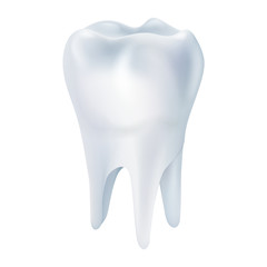 Realistic tooth poster. Illustrations isolated on white background. Graphic concept for your design