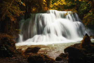 Fototapeta na wymiar waterfall in autumn season and yellow leaf tree