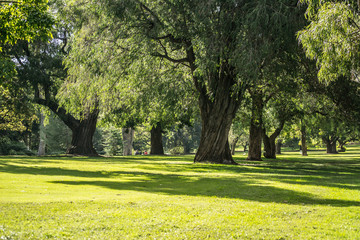Landscape of Kings Park , green and nature scene