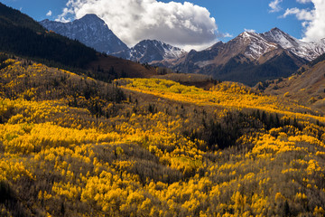 Capitol Peak, a treacherous mountain in the Colorado Rockies, covered in snow and draped in beautiful Fall/Autumn yellow Aspen trees.  Near Aspen Colorado, USA