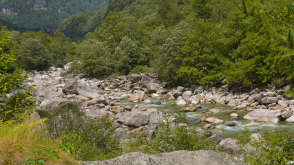 Fototapeta na wymiar Il fiume in estate, che scorre lento e silenzioso