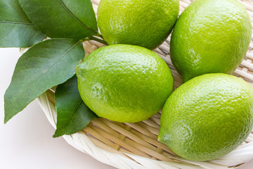 国産　青レモン