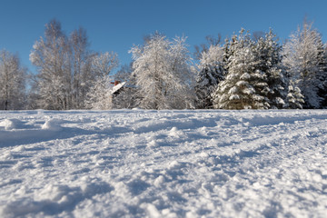 Snowy winter landscape.