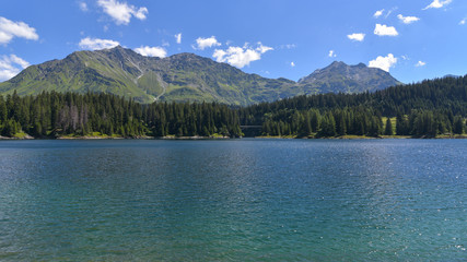 Fototapeta na wymiar Lago di montagna, circondato da abeti e pini verdi, in estate