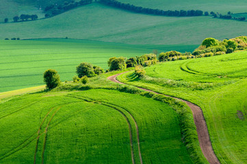 Light playing across fiields of Rapeseed on the South Downs, close to Lewes