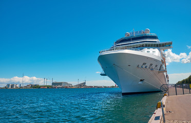 cruise ship in the port of Copenhagen
