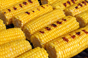 Corn. Fresh organic corn cobs grilling on a barbeque. Grilled corns. Yellow baked corn cobs. Grilled corn background texture. Roasted vegetables wallpaper. 