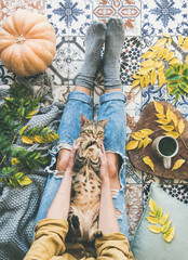 Fototapeta na wymiar Autumn or Fall balcony tea time. Flat-lay of female sitting on colorful tiled floor with tiger colored cat, fallen leaves, warm blanket, pumpkin and cup of herbal tea, top view. Autumn mood concept
