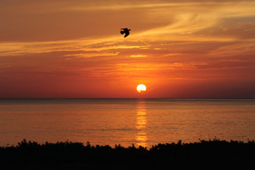 Sunrise on Beach with Birds, Samila Beach Songkhla, Thailand.
