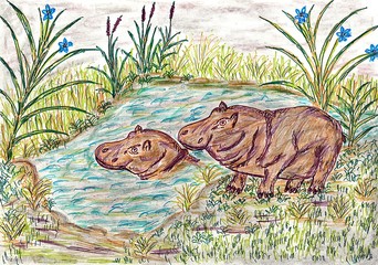 Hand drawn multicolor illustration with nature theme (hippopotamuses in nature) - scan