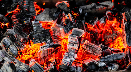 Burning coals of wood as a background - obrazy, fototapety, plakaty