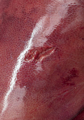 Pork liver pork as an abstract background