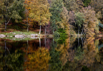 Fototapeta na wymiar Reflections of Fall Tree Colours