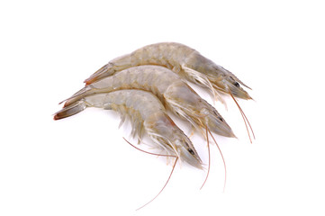 whole fresh vannamei shrimps on white background © yodaswaj
