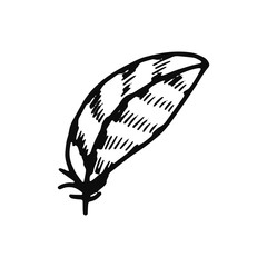 bird feather icon. sketch isolated object black