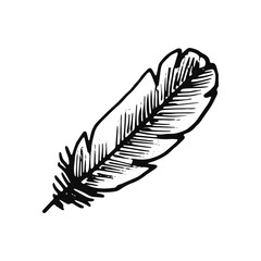 bird feather icon. sketch isolated object black