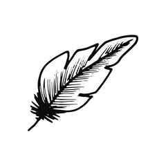 bird feather icon. sketch isolated object black