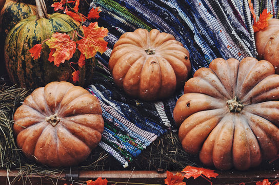 Colorful pumpkins on bright background, country style