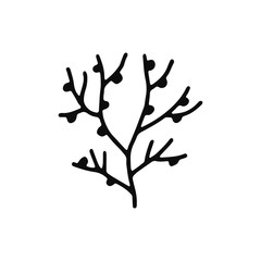 seaweed icon. sketch isolated object black