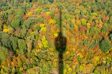 Mischwald in Herbstfärbung