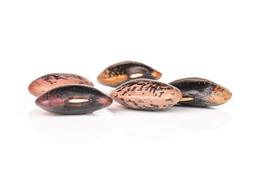 Group of five whole speckled colored butter beans painted lady scarlet runner variety isolated on white background
