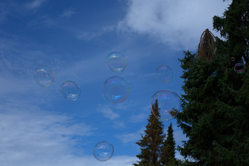 Viele Seifenblasen fliegen zum Himmel