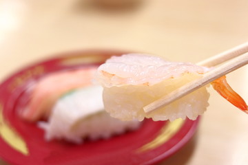 箸で海老のお寿司を持つ