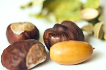 Chestnuts in closeup