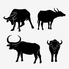 Vector illustration of a buffalo isolated