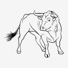 Vector Bull. A outline illustration on a white background. Corrida bull. Toro