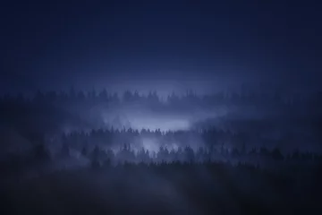 Gordijnen dark forest in the mountain at night with fog © mimadeo