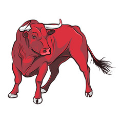 Vector Red bull. Illustration on a white background
