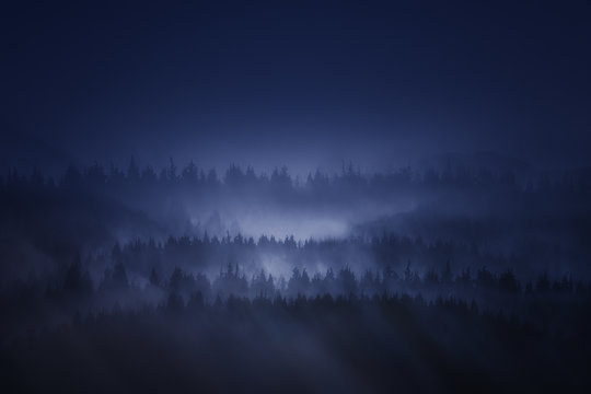 Fototapeta dark forest in the mountain at night with fog