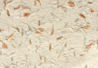 Natural paper texture background. Handmade paper using natural organic fiber, traditional technique.