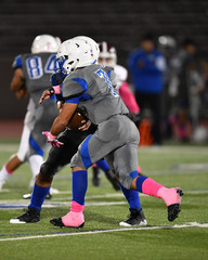 Great action shots of high school football player making amazing plays during a football game